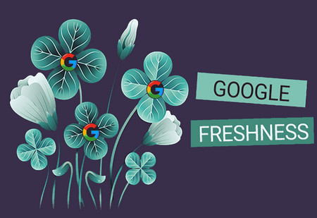 سئو و محتوای جدید | الگوریتم Freshness گوگل را بشناسید!
